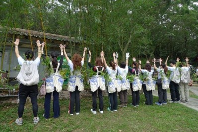 Twenty UBM Asia staff formed five teams and planted 150 trees in Ma On Shan Country Park, Hong Kong.