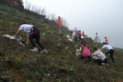 今年逾700人報(bào)名參加，為一幅去年被山火燒去大范圍林木的山坡種植約6,000棵樹(shù)苗。